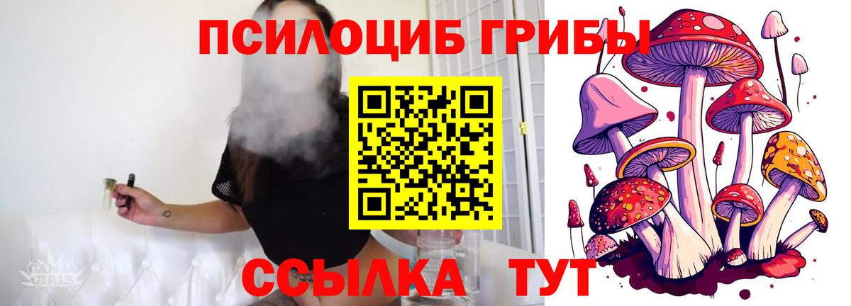 Псилоцибиновые грибы MAGIC MUSHROOMS Черногорск