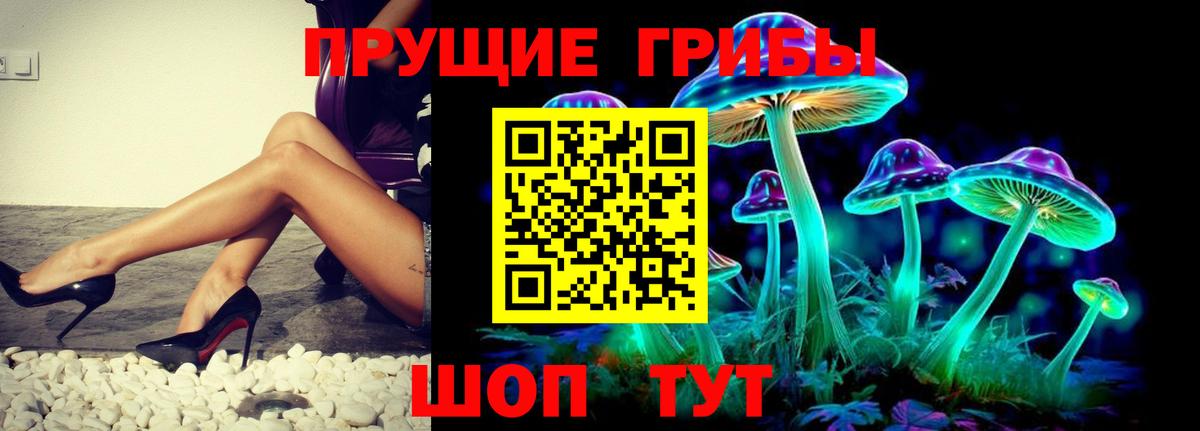 Черногорск  Галлюциногенные грибы ЛСД  Псилоцибиновые грибы мухоморы  Вход с VPN 